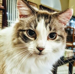 Meet your Posher, Audrey